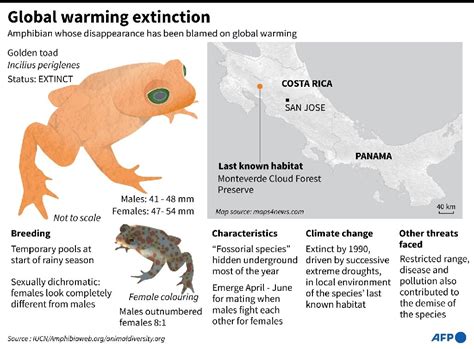 Lost golden toad heralds climate's massive extinction threat » TrueViralNews