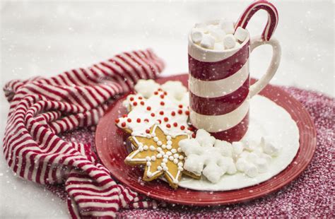 Free Images : candy cane, hot chocolate, cocoa, christmas, holiday ...