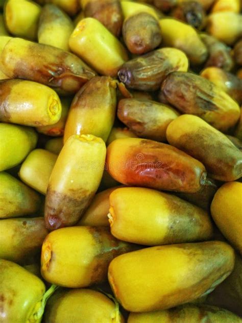 Yellow fresh Dates fruits stock image. Image of saudi - 186026309