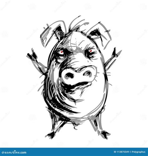 Hand drawn angry pig stock vector. Illustration of face - 113875549