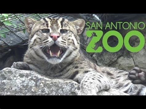 San Antonio Zoo Map PDF File download a printable Image File Official ...