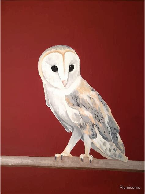 "Tyto alba" Poster for Sale by Plumicorns | Redbubble