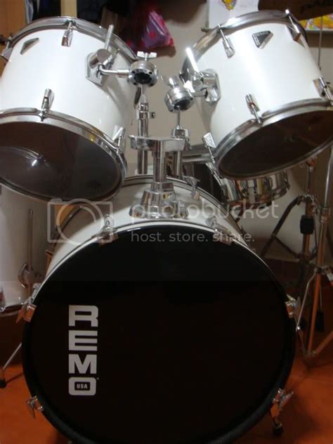 Remo drumset's shell wood