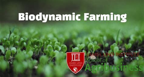 Biodynamic Farming | JLI Blog