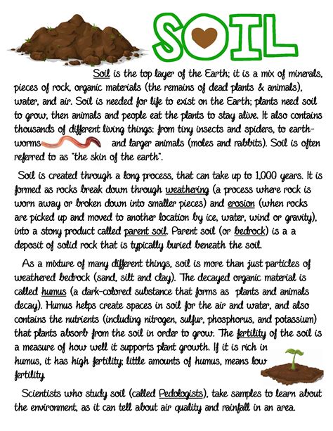 Soil (part 1) ~ Anchor Chart * Jungle Academy Homeschool Science, Science Education ...