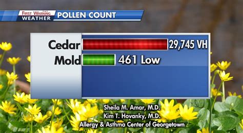 Cedar pollen count explodes to near-record level | KXAN Austin