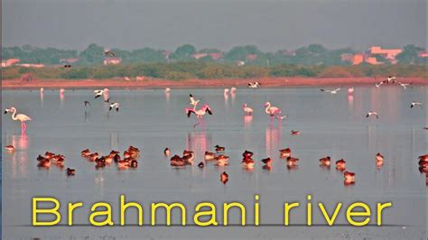 Brahmani river view Rourkela - YouTube