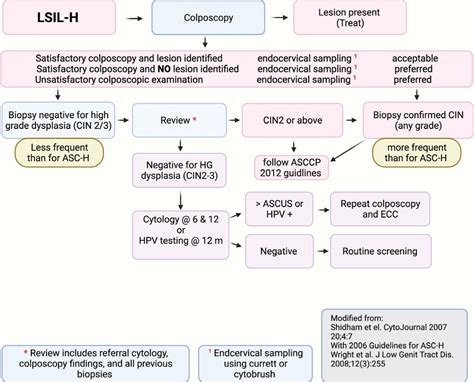 Squamous intraepithelial lesions (SIL: LSIL, HSIL, ASCUS, ASC-H, LSIL-H ...