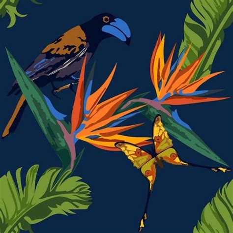 Birds of Paradise Wallpaper | Wallpaper Online