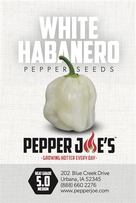 White Habanero Pepper Seeds - Pepper Joe’s