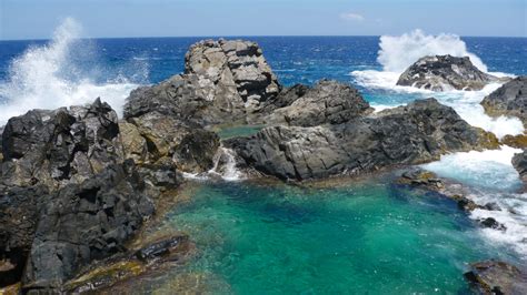 Natural Pool Aruba: "Conchi"