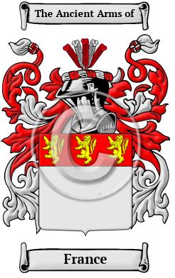 France Name Meaning, Family History, Family Crest & Coats of Arms