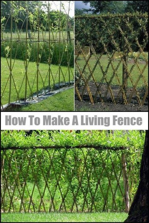 Beautiful examples of living willow fences | - Modern Design 3 in 2020 | Willow fence, Living ...