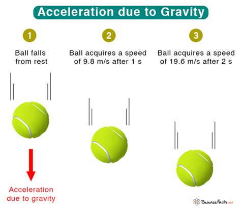 Acceleration due to Gravity: Definition, Formula, & Value