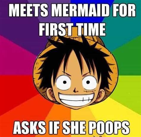 The Best One Piece Anime Memes & Jokes