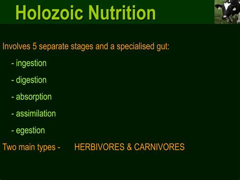 PPT - Modes of Nutrition PowerPoint Presentation, free download - ID:2959529