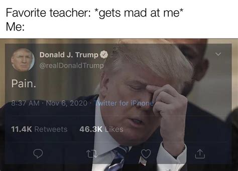 Donald Trump feeling pain and facepalming meme template : r ...