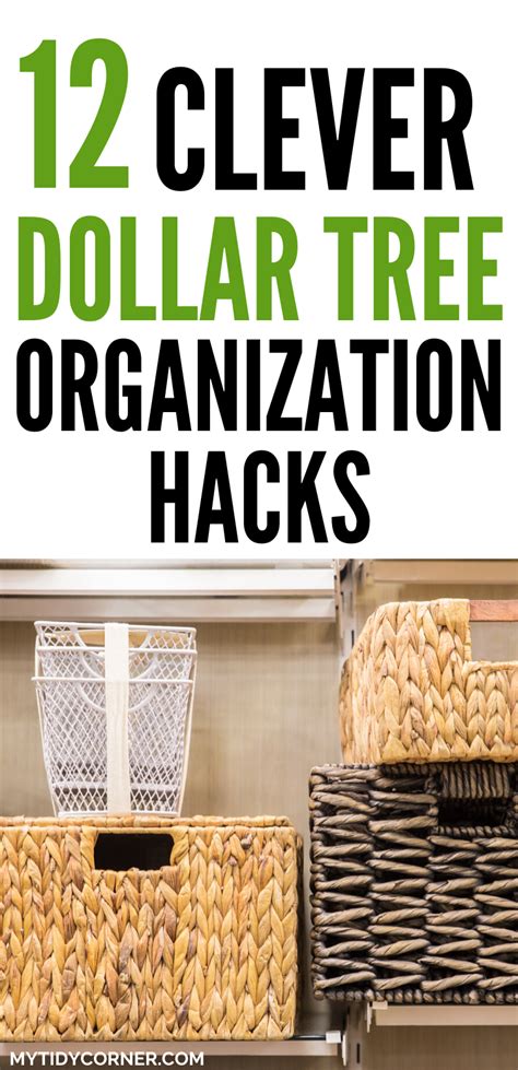 Dollar Tree Organization Hacks 2024 - Mady Karlie