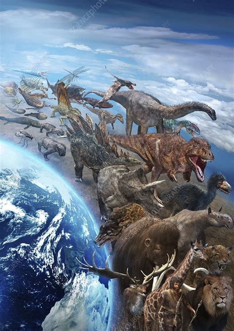 Evolution of life on Earth, illustration - Stock Image - C039/4582 ...