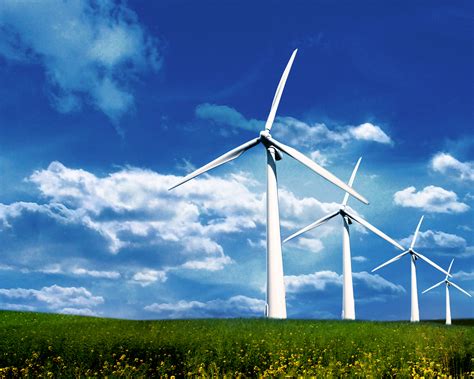 David Suzuki says wind turbines not the problem