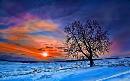 Beautiful Winter Sunset - Winter & Nature Background Wallpapers on ...