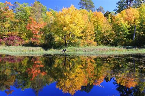 Itasca State Park, MN