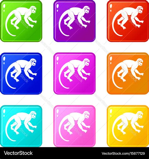 Capuchin monkey icons 9 set Royalty Free Vector Image