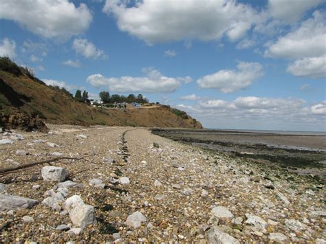 Warden Point (Isle of Sheppey) | Discovering Fossils