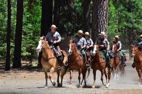 Yosemite's Mounted Patrol Rangers Park Ranger, Body Armor, Outdoor Lifestyle, Yosemite, Equines ...