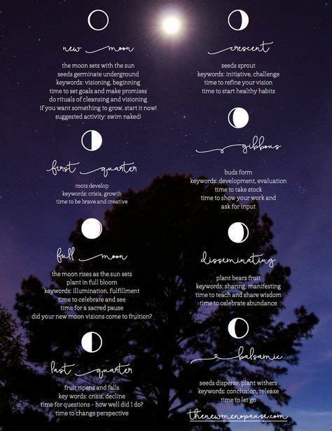 Pin by 🌺Dani🌺 on Wicca | Moon phases meaning, New moon rituals, Moon witch