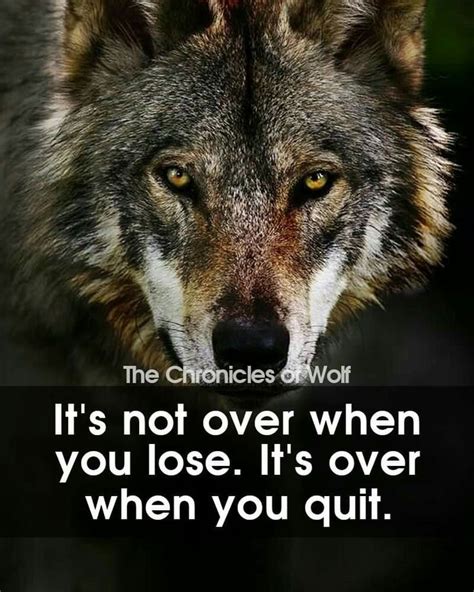 Pin by Selena Crosby on Wolves | Inspirational animal quotes, Warrior ...