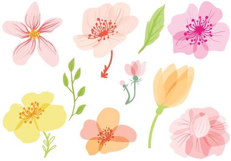 Spring Flowers Vectors 143376 Vector Art at Vecteezy