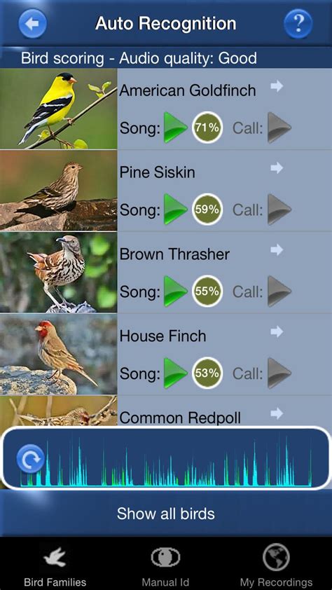 Bird Song Id USA Automatic Recognition Birds Songs #Mullen#Songs#Birds#GbR | Song id, Song bird ...