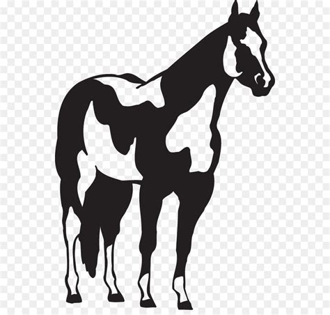 Friesian horse American Paint Horse Black Clip art - Horse Png Image ...