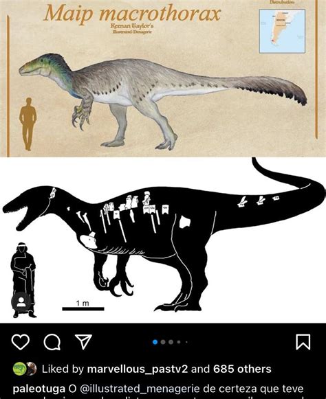 To have combatted the T Rex fatigue, a megaraptor would have been a ...