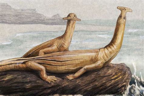 Hammerhead marine reptiles vacuumed up algae | Earth Archives