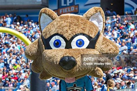 325 Titans Mascot Stock Photos, High-Res Pictures, and Images - Getty Images