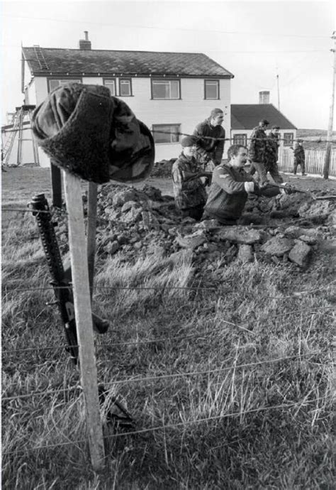 Pin by Daniel Sullivan on falklands war. | Falklands war, Tree, Plants