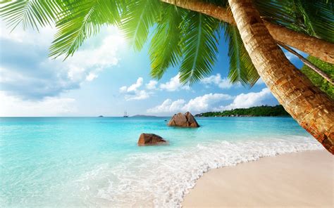 Beautiful Ocean and Beach Landscape Wallpaper by ROGUE-RATTLESNAKE on DeviantArt