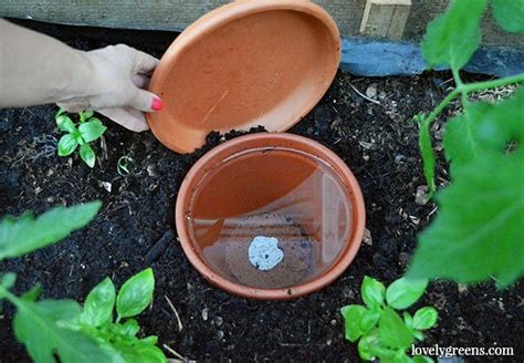 How to make DIY Ollas - Low Tech Self-Watering Systems for Plants - Garden Living and Making ...