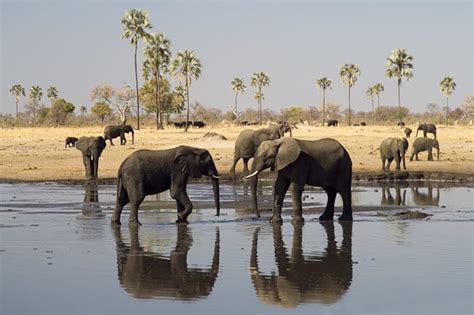 Zimbabwe Safari Tours: Directory of Zimbabwe Tour Companies