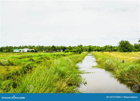 Louisiana Wetlands stock image. Image of coast, united - 107313585