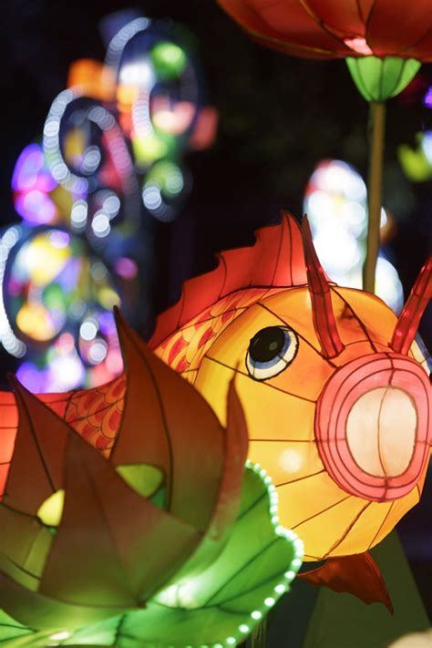 Spokane Chinese Lantern Festival | Spokane | The Pacific Northwest Inlander | News, Politics ...