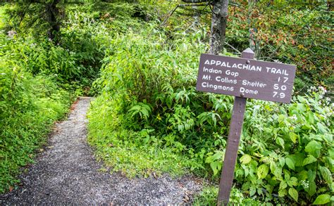 Appalachian Trail | gsmnp