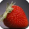 Android için Strawberry Wallpaper HD APK - İndir