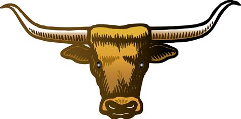 Longhorn clipart template, Longhorn template Transparent FREE for download on WebStockReview 2024