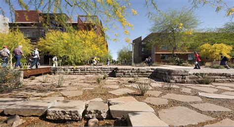 Arizona State University Polytechnic Campus (asla) by Ten Eyck Landscape Architects – mooool