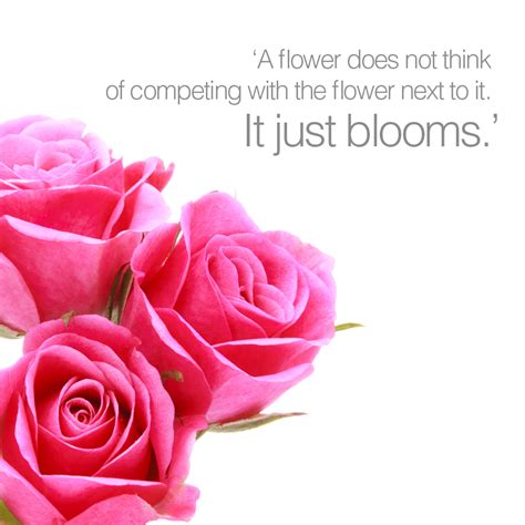 #Quote of the Day #flowers #roses #blooming #love | Flower quotes, Good morning flowers quotes ...