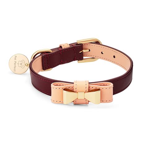 35 Best Designer Dog Collars from High-End brands