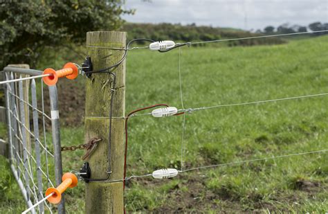 Gallagher puts strain into fence systems - Fencing Contractors Association NZ (FCNZ)